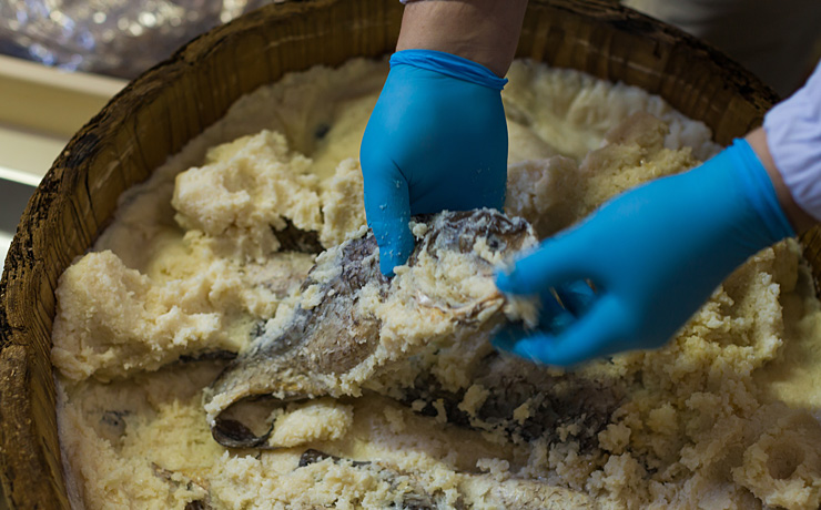 発酵飯の中から大きなニゴロブナが。発酵飯は海苔に巻いて焼いたりしても美味しいとのこと。ロテルド比叡ではアイスクリームに混ぜてデザートにしている